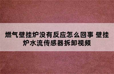 燃气壁挂炉没有反应怎么回事 壁挂炉水流传感器拆卸视频